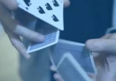 Di.Versity by Di.Cardistry