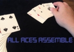 All Aces Assemble by Steve Reynolds