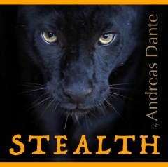 Stealth by Andreas Dante