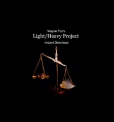 Light Heavy Project by Wayne Fox