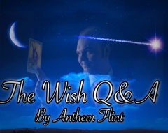 The Wish Q & A By Anthem Flint