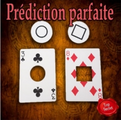 LEPETITMAGICIEN - PREDICTION PARFAITE