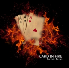 CARD IN FIRE by Patricio Teran