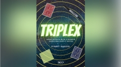 Triplex by Vinny Sagoo