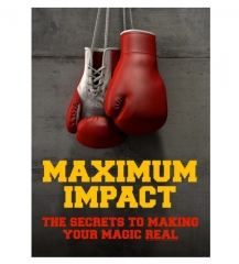 MAXIMUM IMPACT by Jay Sankey