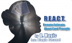 R.E.A.C.T. by B. Magic (aka Biagio Fasano)