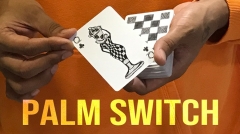 Magic Encarta Presents Palm Switch & Palm Control by Vivek Singhi (Download)