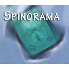 Spinorama by William Lee video (Download)