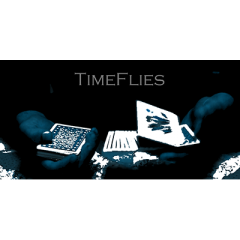 TimeFlies By John Stessel video (Download)