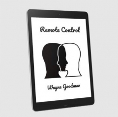 Remote Control by Wayne Goodman