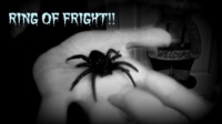 RING OF FRIGHT By George Campbell