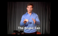 Snake Fan by Tony Clark