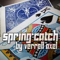 Spring-Catch by Verrell Axel