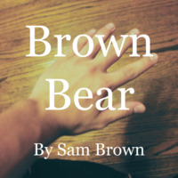 Brown Bear by Sam Brown