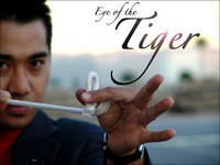 Eye of the Tiger