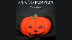 Silk to Pumpkin by Alan Wong