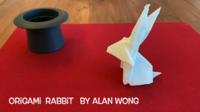 Origami Rabbit by Alan Wong