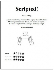 Scripted #32: Teddy by Larry Brodahl