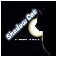 Shadow Cat by Mario Tarasini