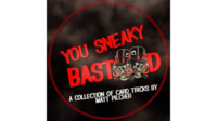 YOU SNEAKY BAST**D By Matt Pilcher