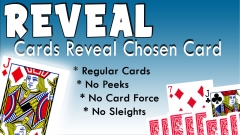 REVEAL - Cards Reveal Card by Totally Magic