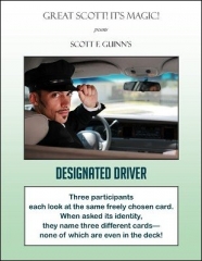 Designated Driver by Scott F. Guinn