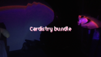 16 moves Cardistry bundle by Rua Shady