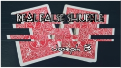 REAL FALSE SHUFFLE by Joseph B.