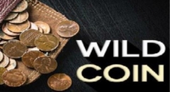 Wild Coin by Conjuror Community