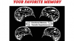 Your Favorite Memory by Dustin Marks (original download , no watermark)