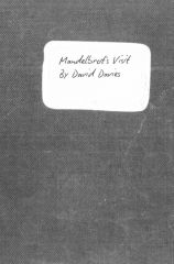 Mandelbrot’s Visit by David Davies