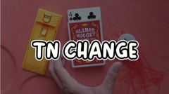 TN CHANGE by TN (original download , no watermark)