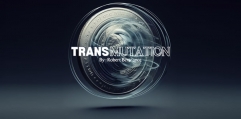 Transmutation by Robert Bertrance (original download , no watermark)