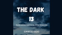 The Dark 13 by Dominicus Bagas (original download , no watermark)