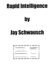 Rapid Intelligence by Jay Schwausch