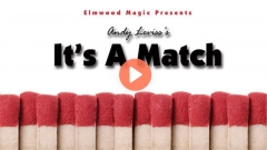 It's A Match by Andy Leviss
