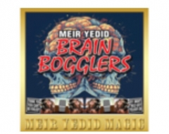 Brain Bogglers by Meir Yedid