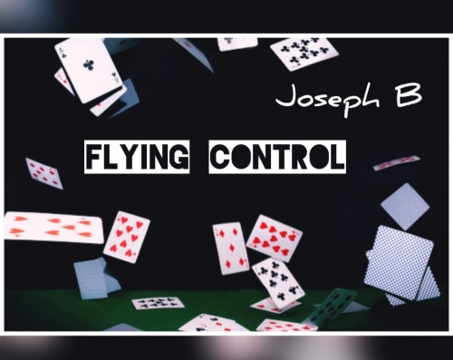 FLYING CONTROL by Joseph B