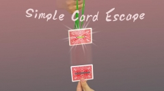 Simple Card Escape by Dingding