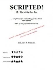 Scripted #2 Malini Egg Bag by Larry Brodahl