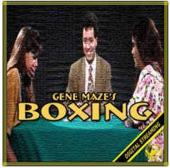 BOXING VIDEO By Gene Maze, Meir Yedid