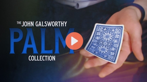 John Galsworthy – The Galsworthy Palm Collection