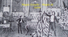 Magia Estudio – Magia de Salon