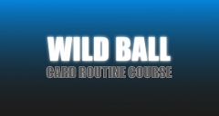 Craig Petty – Wild Ball