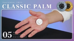 Classic Palm – CoinLudens Membership