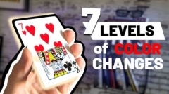 7 New Levels of Color Changes by Biz