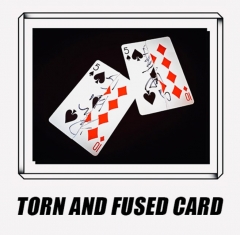 Torn and Fused Card by China Magic