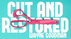 Wayne Goodman - Cut And Restored Rope