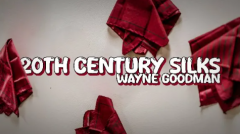 Wayne Goodman - 20Th Century Silks