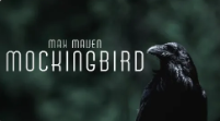 Max Maven - Mockingbird